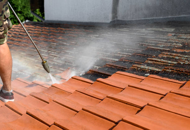 Best Pressure Washing Near Me  in Waipahu, HI
