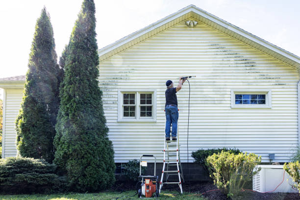 Best Residential Pressure Washing Services  in Waipahu, HI