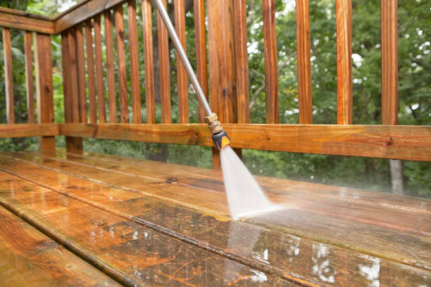 Best Exterior Home Cleaning  in Waipahu, HI