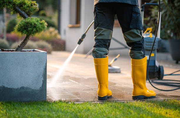 Best Affordable Pressure Washing  in Waipahu, HI